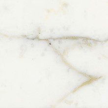 Calacatta d'Oro