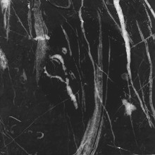 Nerc Marquina