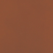 WW1590050